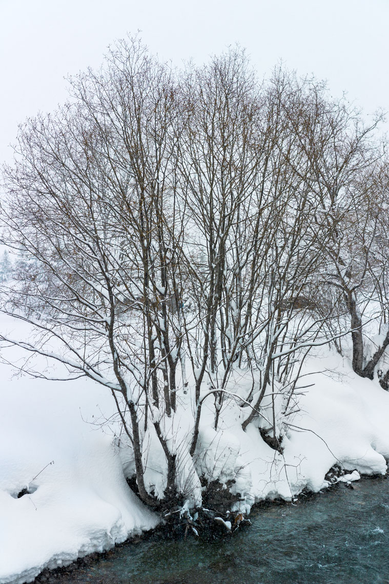 White-out004